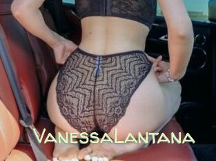 VanessaLantana