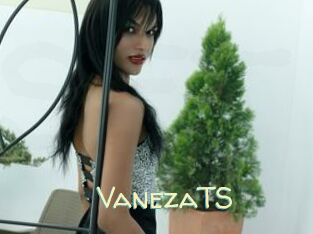 VanezaTS