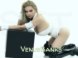 VenusBanks