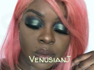 VenusianJ