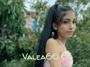 Valea66_66