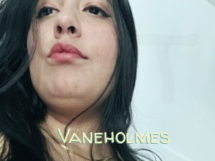 Vaneholmes