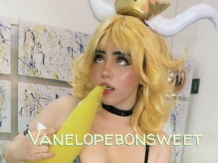 Vanelopebonsweet
