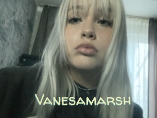 Vanesamarsh
