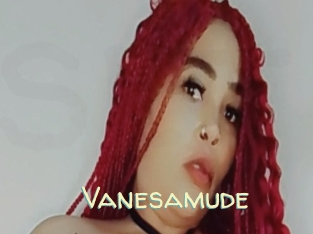 Vanesamude
