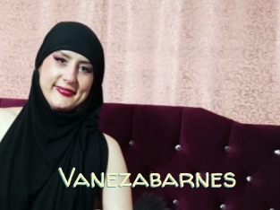 Vanezabarnes