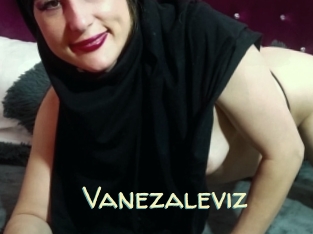 Vanezaleviz