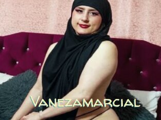 Vanezamarcial