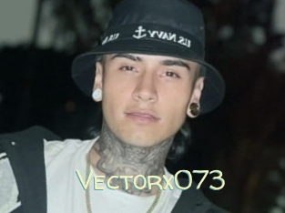 Vectorx073