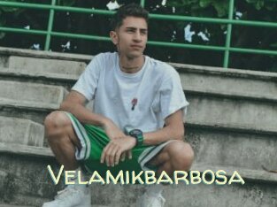 Velamikbarbosa