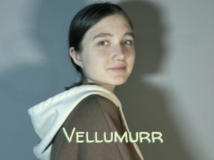 Vellumurr