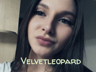 Velvetleopard