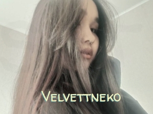 Velvettneko