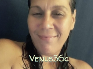 Venus36c