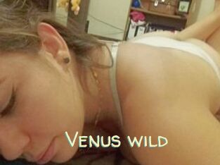 Venus_wild