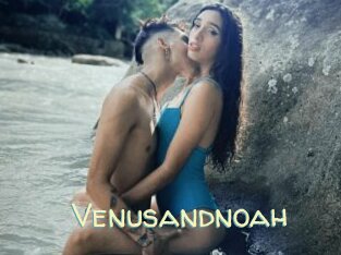 Venusandnoah