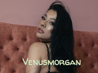 Venusmorgan