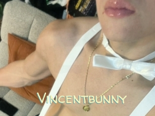 Vincentbunny