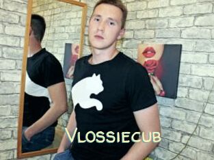 Vlossiecub