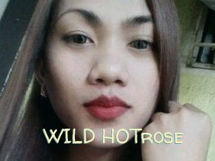WILD_HOTrose