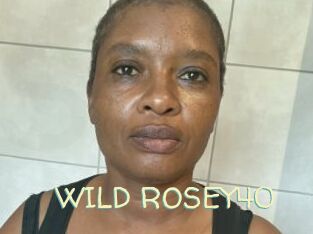 WILD_ROSEY40