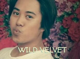 WILD_VELVET