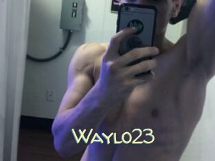 Waylo23
