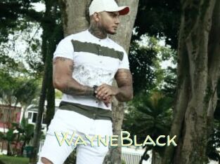 WayneBlack