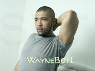 WayneBoyI