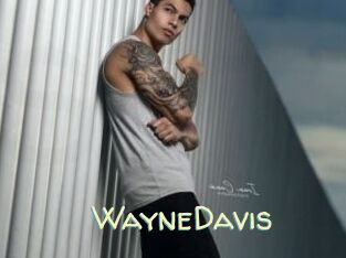 WayneDavis