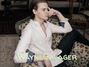 WayneGalager