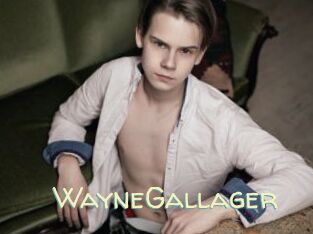 WayneGallager