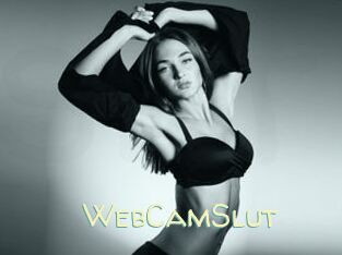 WebCamSlut