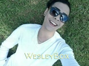 Wesley_Boix
