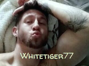 Whitetiger77
