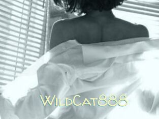 WildCat888