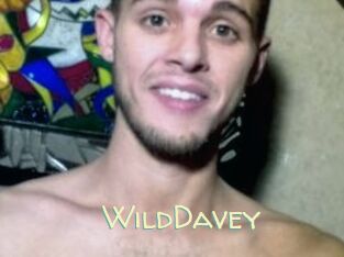 WildDavey