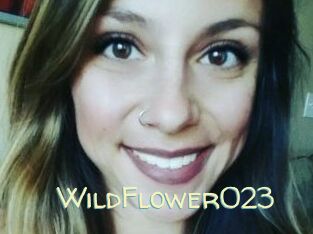 WildFlower023