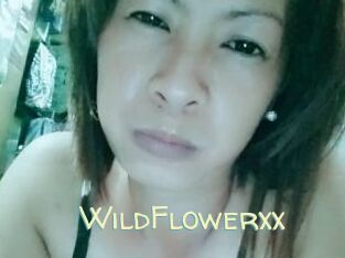 WildFlowerxx