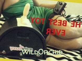 WildOrchid_