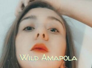 Wild_Amapola