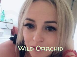 Wild_Orrchid