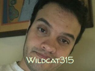 Wildcat315