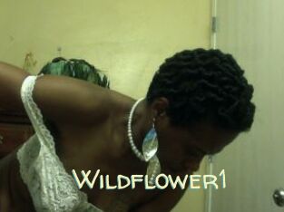 Wildflower1