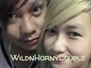 WildnHornyCouple Sexy Tchat