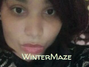 Winter_Maze