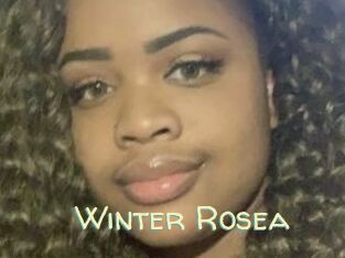 Winter_Rosea