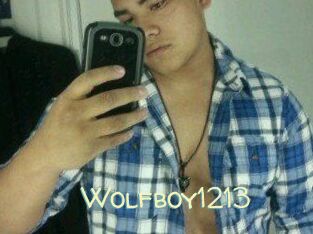 Wolfboy1213
