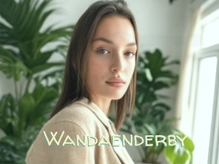 Wandaenderby