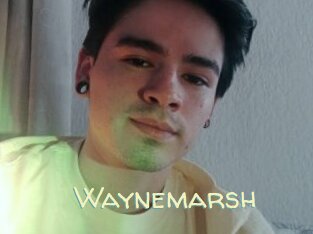 Waynemarsh
